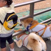 前のめり