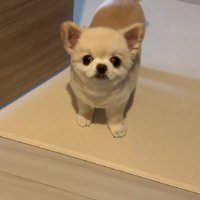 「そろそろご飯ですよね？」