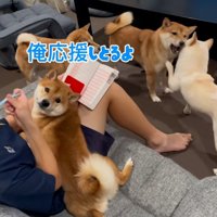 カメラ目線のなぎくん