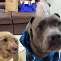 隣にはサチちゃんが…