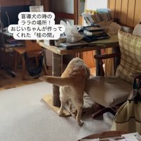 ララちゃんとユーザーさんの再会4