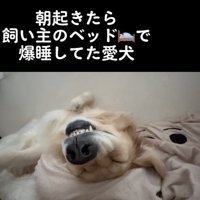 涼しい場所をちゃっかりゲット