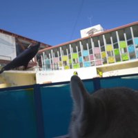 迫力満点のジャンプ！！