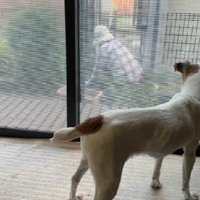 いつも一緒がいい…