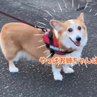 笑顔のはなちゃん