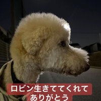 生きててくれてありがとう