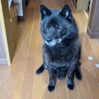 切なく佇む一休さん