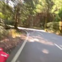 ハシゴを持って子犬の元へ