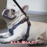 まだ粘っています（笑）