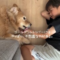 息子さんの手を舐めるきなこちゃん