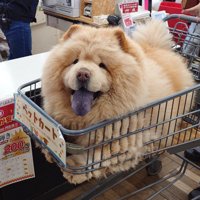 ショッピング満喫中♪