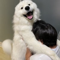ニパッ