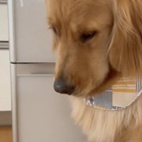 落ち込んでからの…