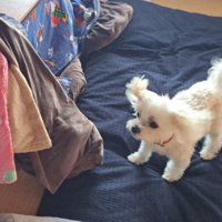 おもちゃ