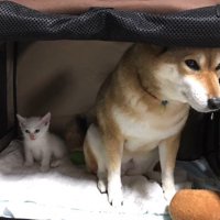 怖いときも一緒なら…