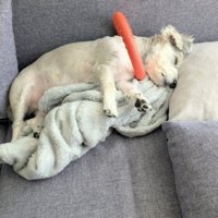 そのまま寝てしまった…