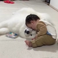 「えっ…ここで寝るの？」
