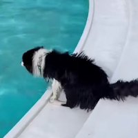 いざ、入水！！