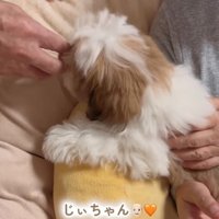 おじいちゃんの手元に