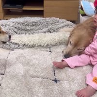 うにくんが登場