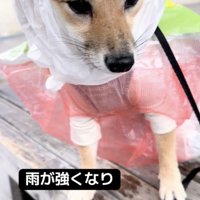 頭まで完全防備！