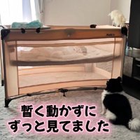 赤ちゃんに釘付けに！！