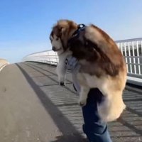 赤ちゃんみたいな姿にクスッ