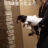 ドレスでおめかし