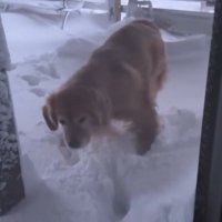 外に出てみます！