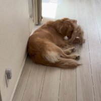 片足を上げて…