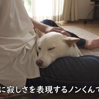 安心してウトウト…♪