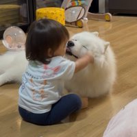 うっとり顔のこはくちゃん