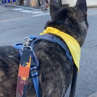 小学生を見守るオレオくん