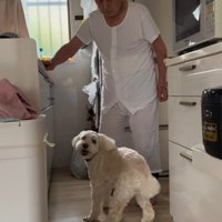 ワンコとおじいちゃんの日常9
