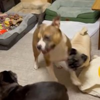 巻き込まれて激突！！