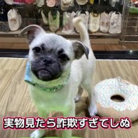 写真と何かが違う…！