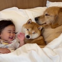 ほのちゃんも来たけど…