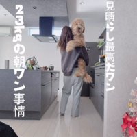 人間の子どものよう…