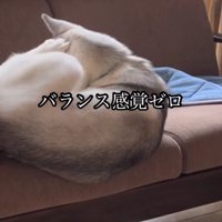 ゆったりしていたら…