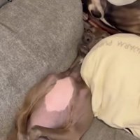 ソファの隙間にぴったりフィット