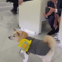 会場は笑顔に包まれたそう