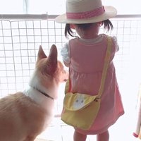 並んで窓の外を見つめることも
