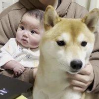 自分の隣に移動