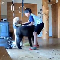 喜びが伝わってきます