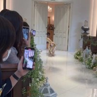 「リングドッグの登場だよ！！」