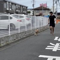 走り出すはちちゃん