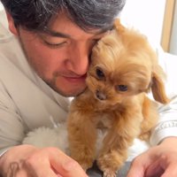 顔を押しつける小型犬