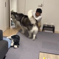 拒否する彼氏さん