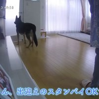 「帰ってきたみたい！」