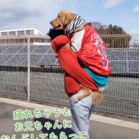 ニヤッと笑う犬